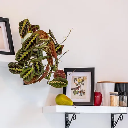 Bella 2br アパート *